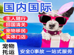 吴圩机场邮寄国际宠物托运 【国